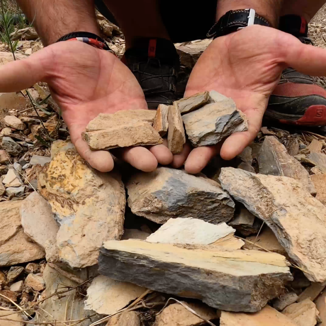 Nacho Alvarez en Viñedo de suelo de pizarra