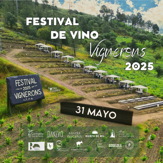 Festival de Vino Vignerons 2025