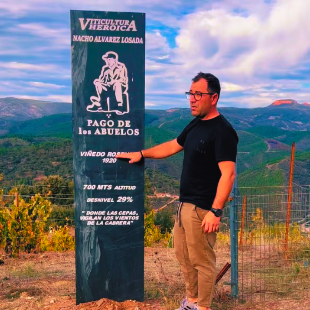 Customizable Wine Tourism Experience
