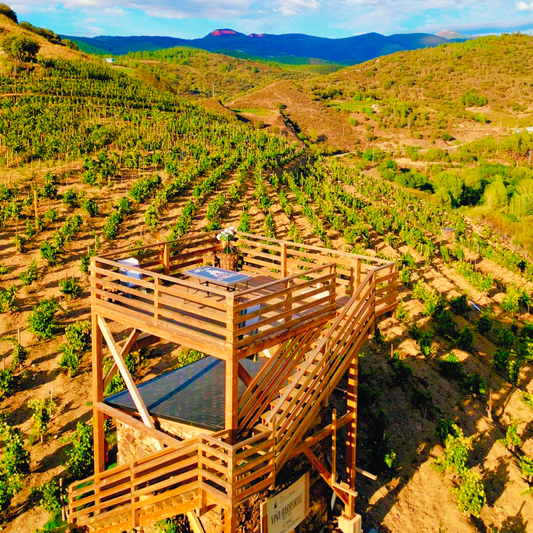 Experiencia Viticultura Heroica