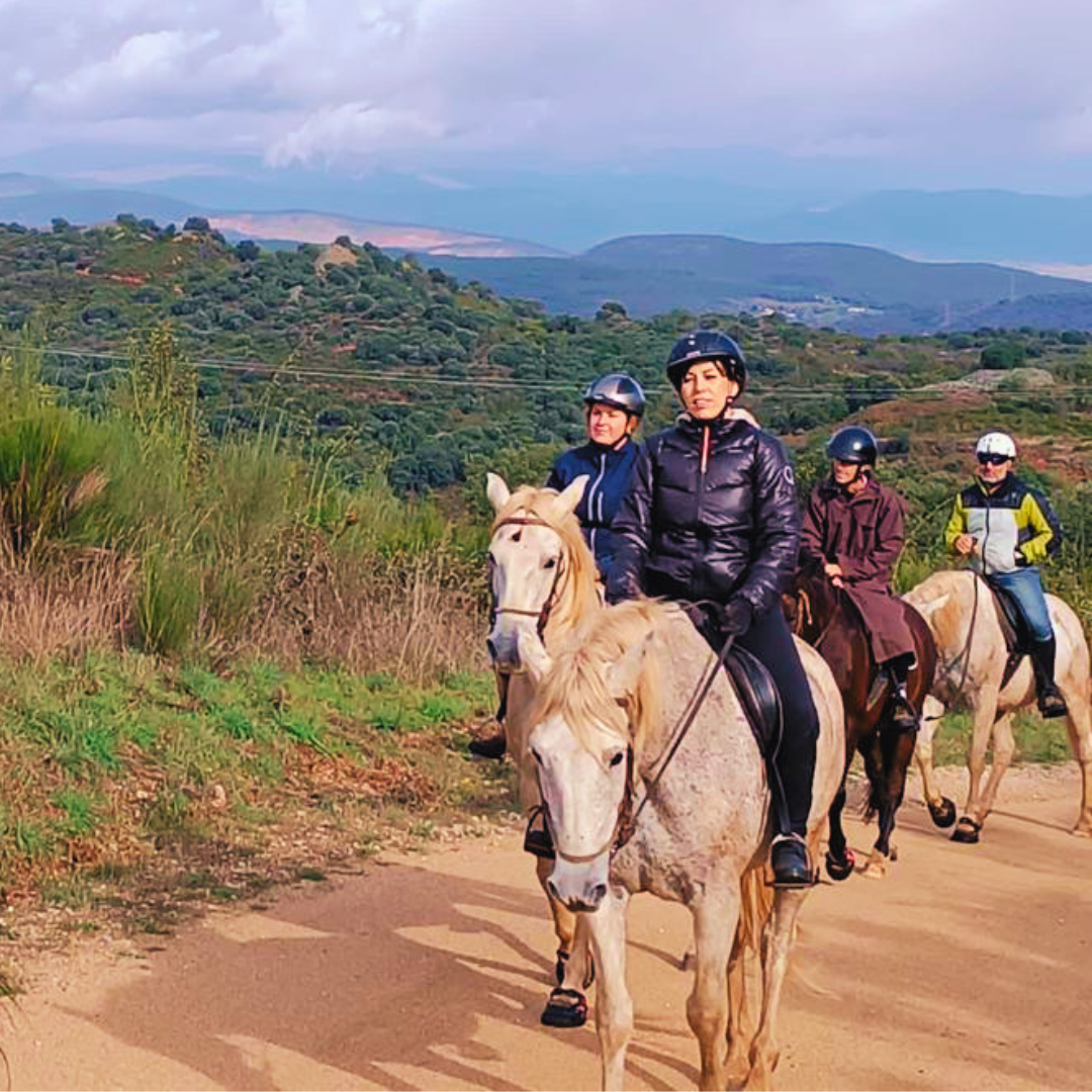 Customizable Wine Tourism Experience