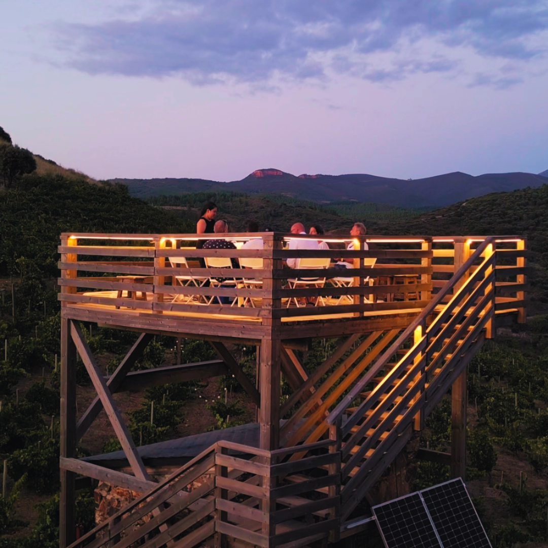 Customizable Wine Tourism Experience