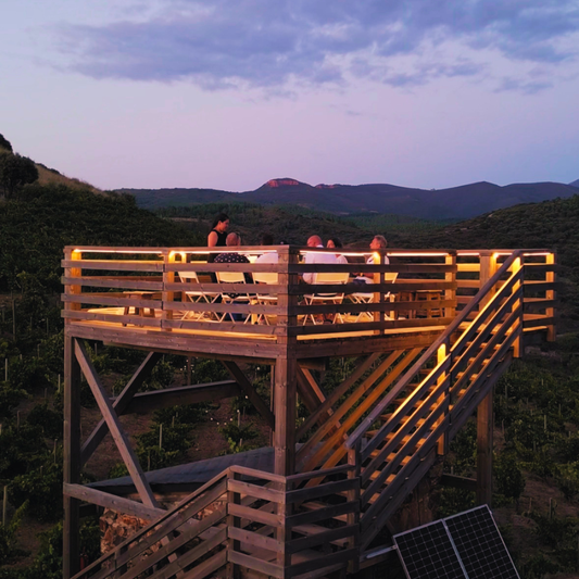 Experiencia de Enoturismo Personalizable