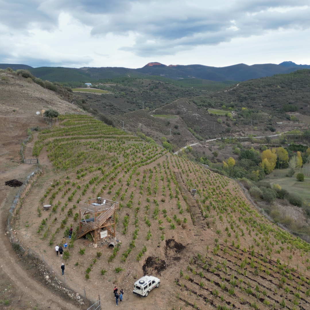 Experiencia Bierzo - Médulas con Comida y Alojamiento